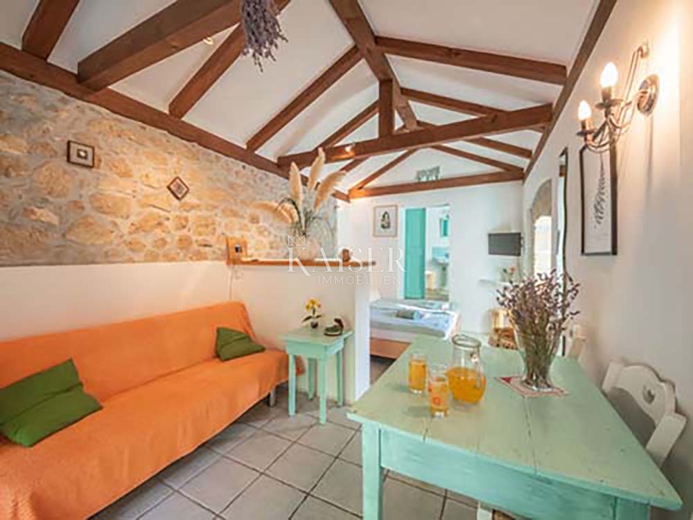 Riviera di Opatija - Brseč, villa in pietra con piscina