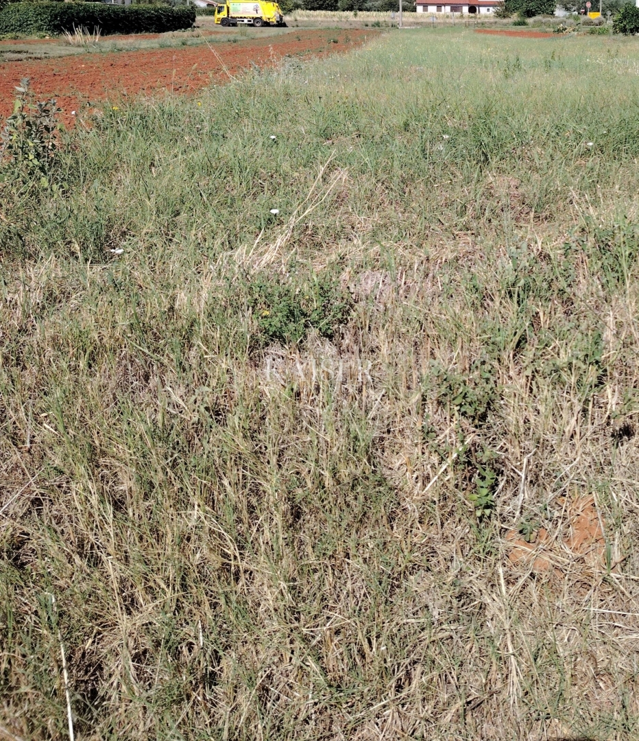 Istria, Marčana - terreno edificabile