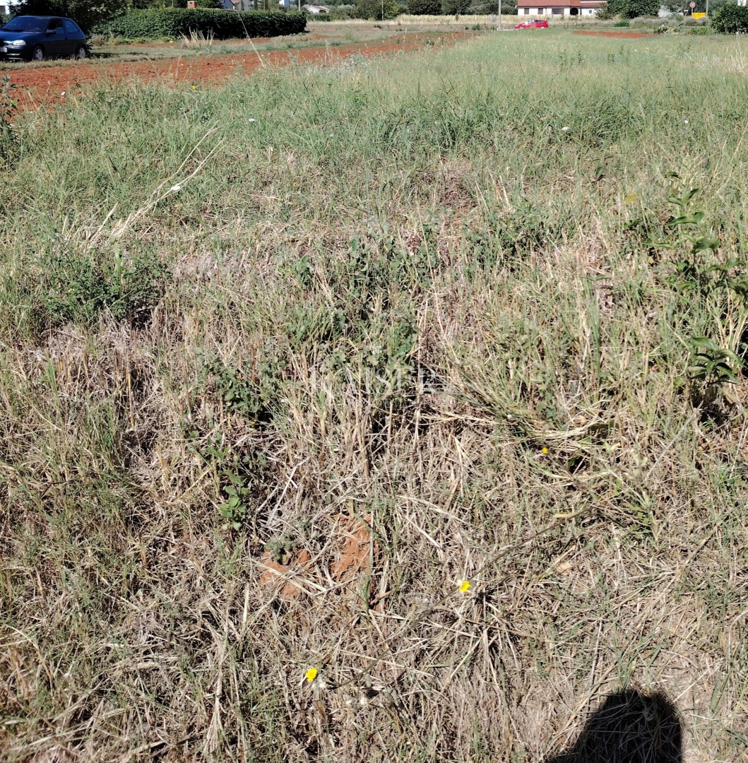 Istria, Marčana - terreno edificabile