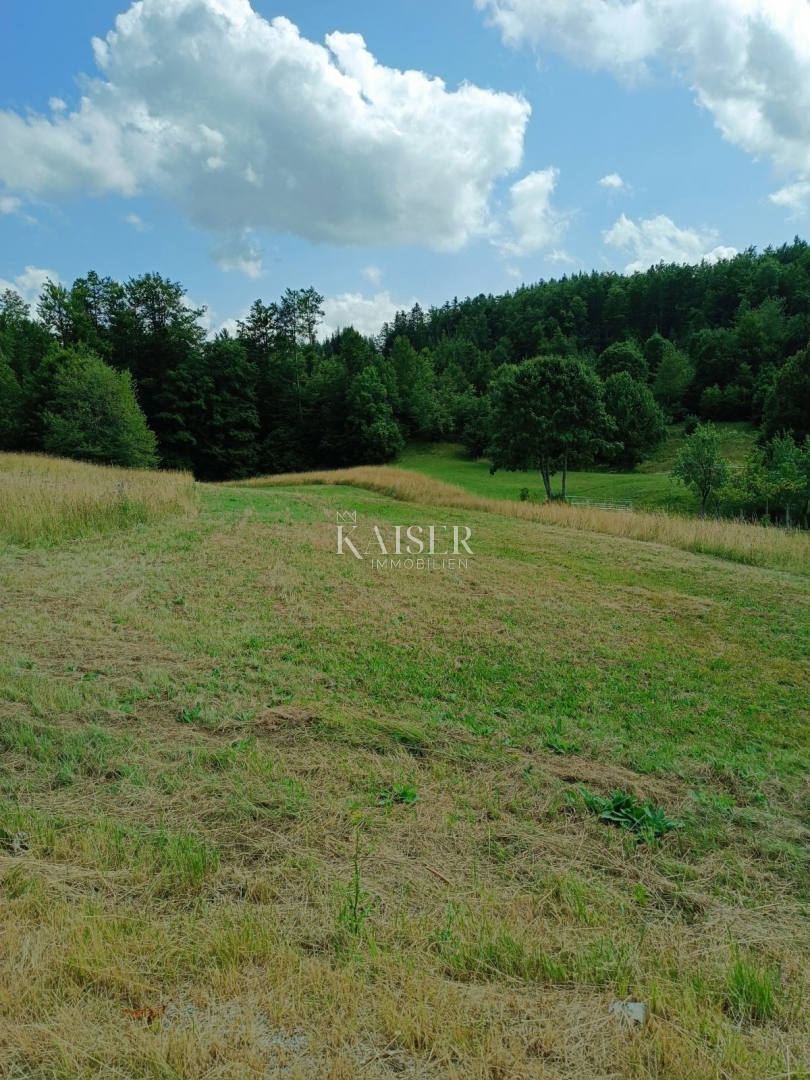 Raavna Gora, Stari Laz - terreno edificabile 1500 m2 con permesso di costruzione