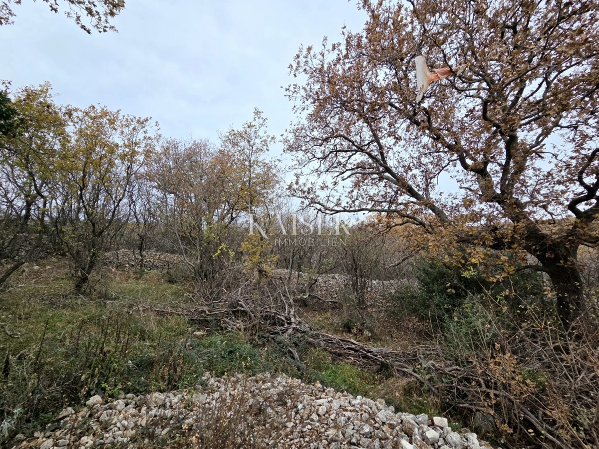 Krk, Vrbnik - terreno edificabile 2700m2, vista mare