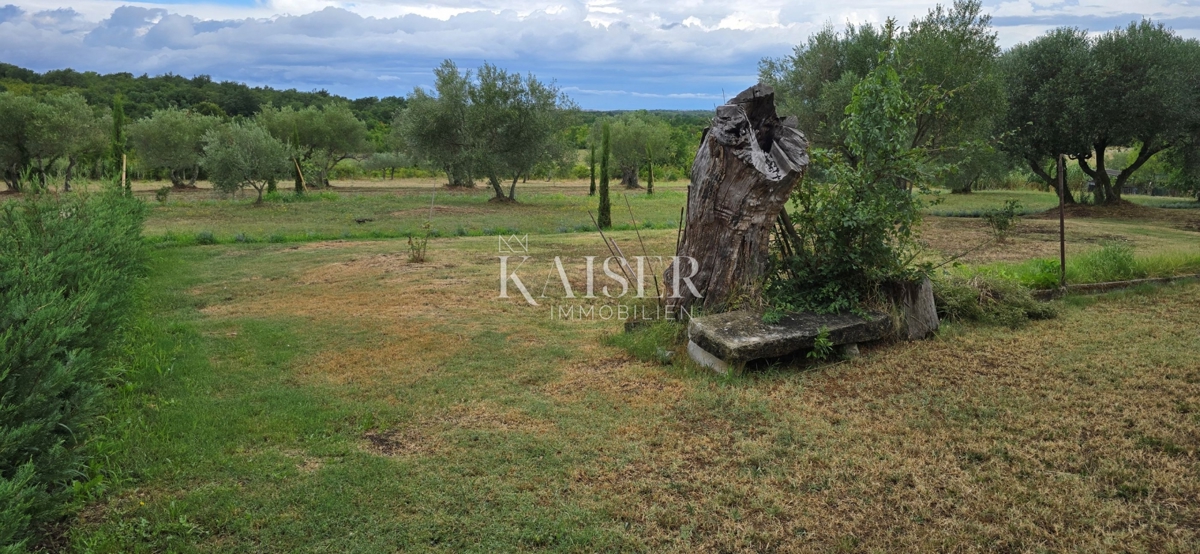 Istria, Juričani, Occasione unica!!!! Casa in pietra nella natura con terreno!!!!