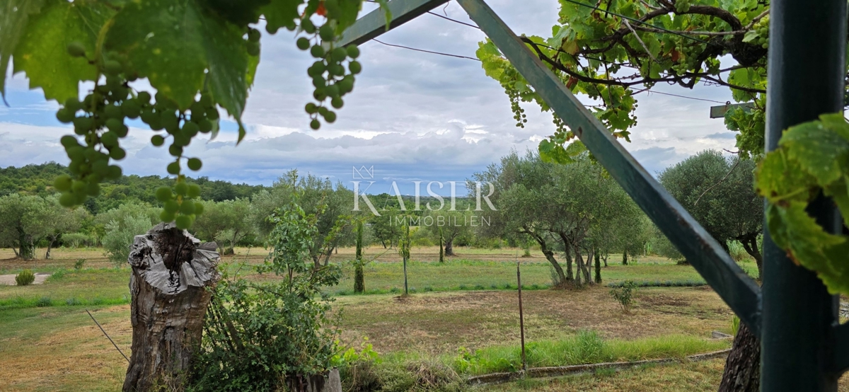 Istria, Juričani, Occasione unica!!!! Casa in pietra nella natura con terreno!!!!