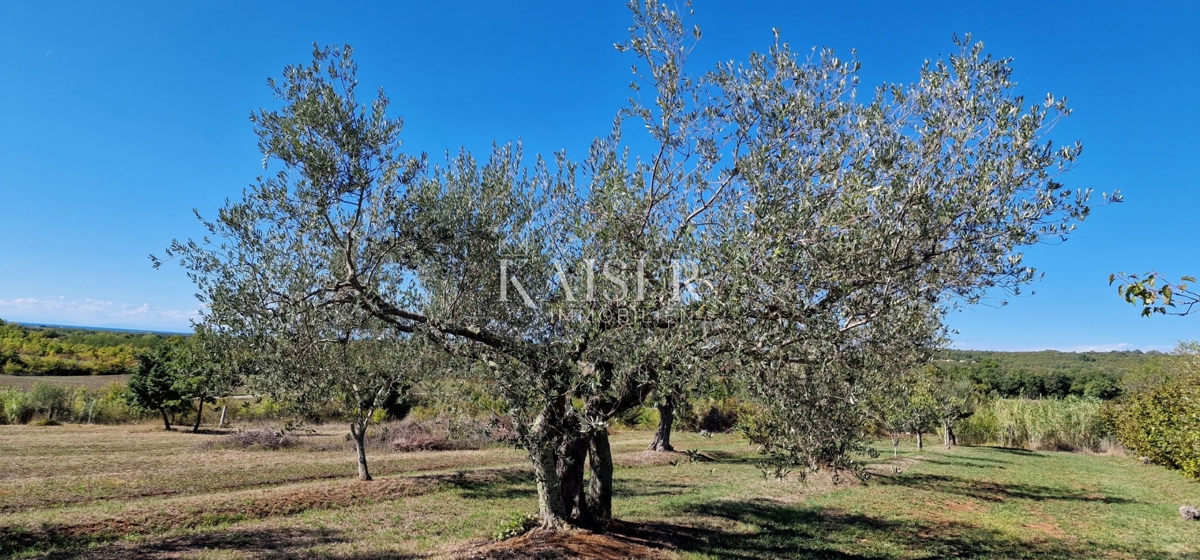 Istria, Juričani, Occasione unica!!!! Casa in pietra nella natura con terreno!!!!
