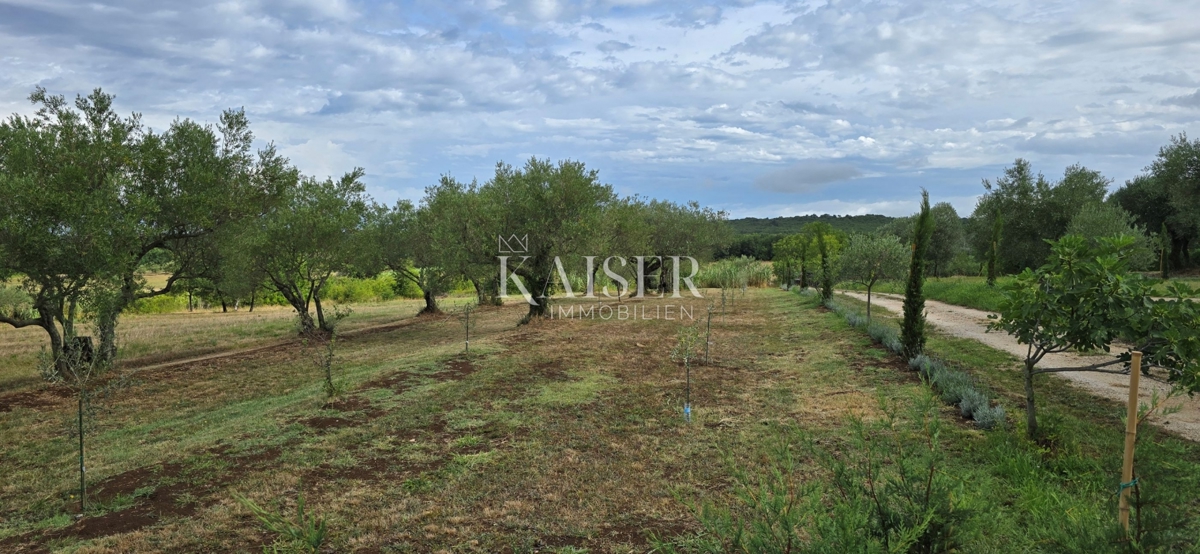 Istria, Juričani, Occasione unica!!!! Casa in pietra nella natura con terreno!!!!