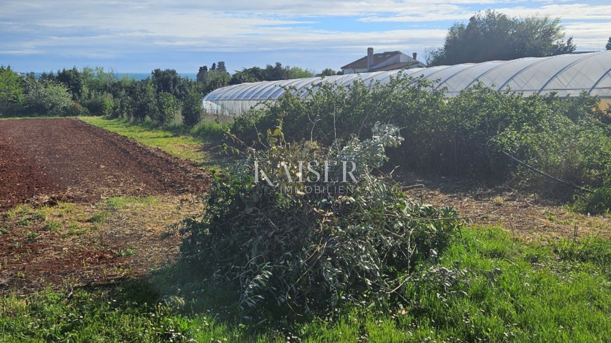 Земля під забудову Zambratija, Umag, 5.557m2