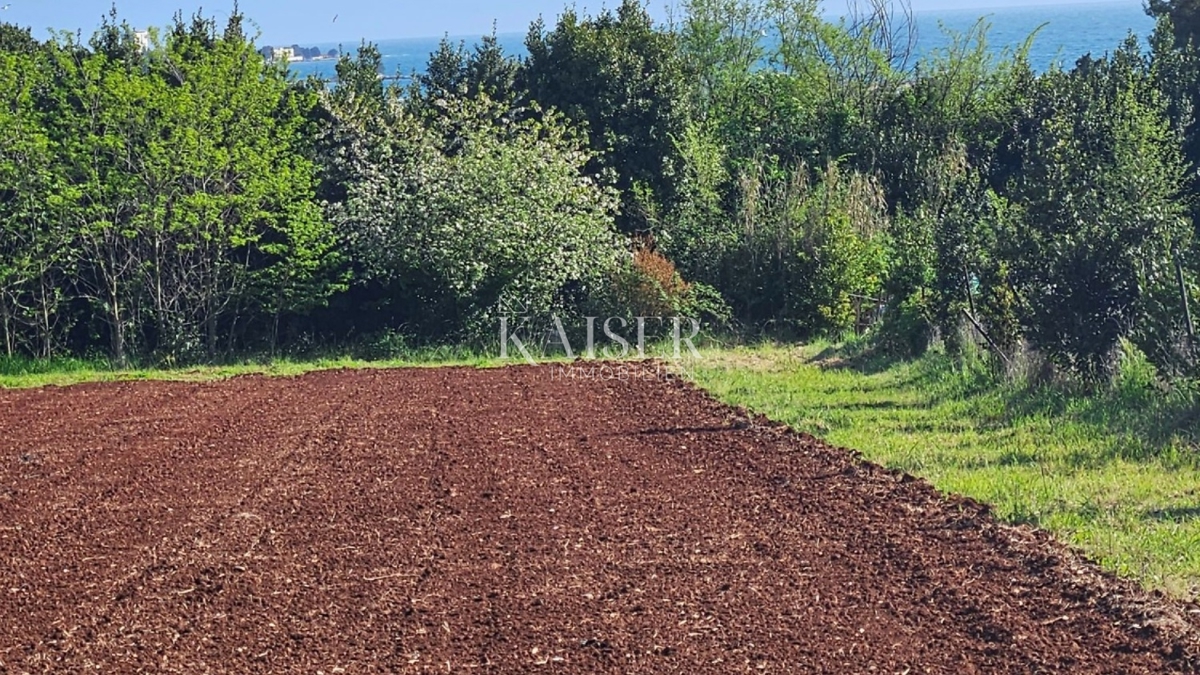 Земля під забудову Zambratija, Umag, 5.557m2