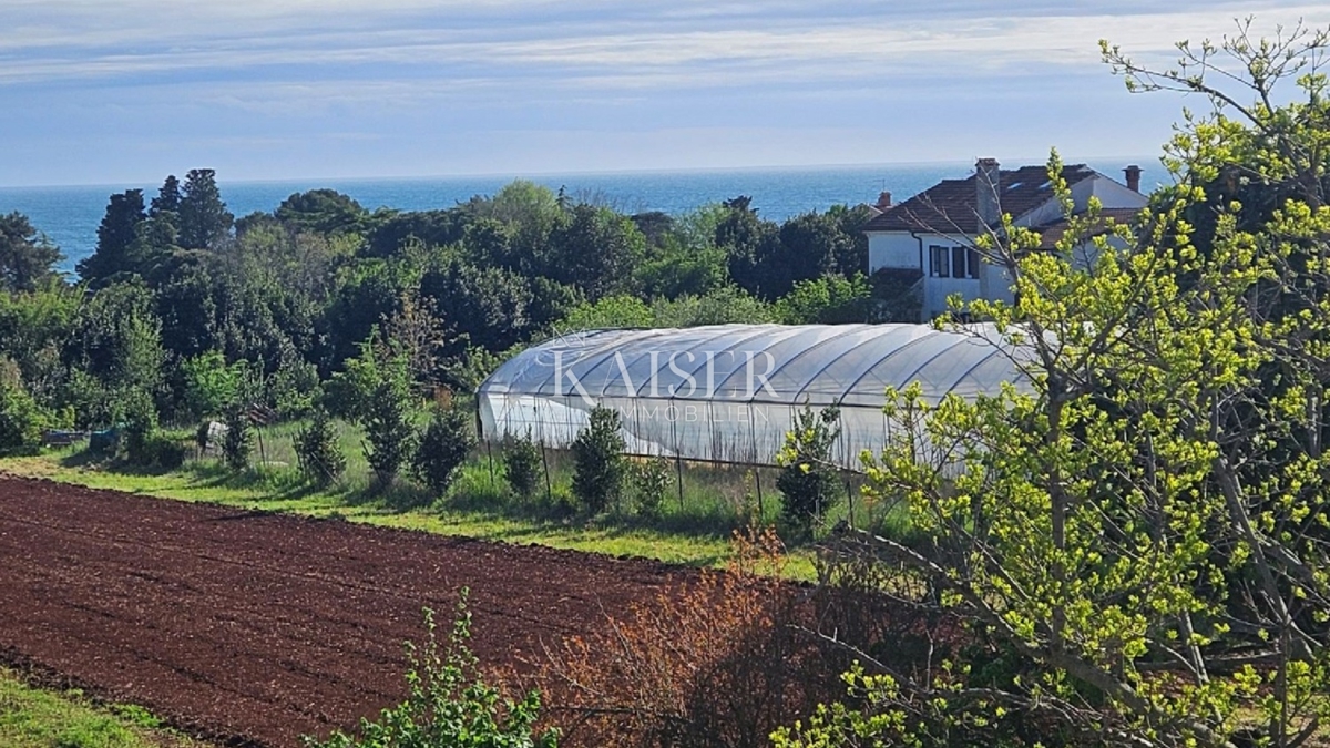 Земля під забудову Zambratija, Umag, 5.557m2