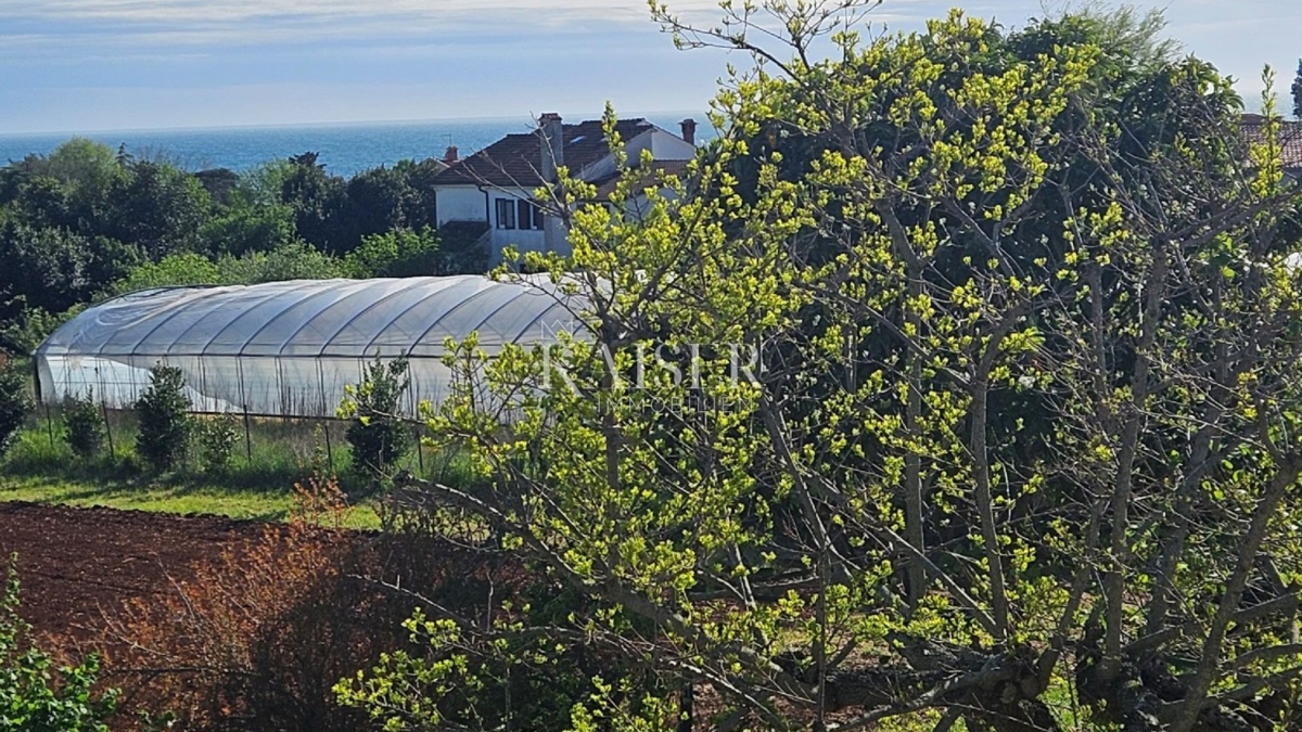 Земля під забудову Zambratija, Umag, 5.557m2