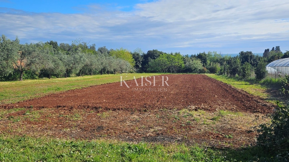 Земля під забудову Zambratija, Umag, 5.557m2