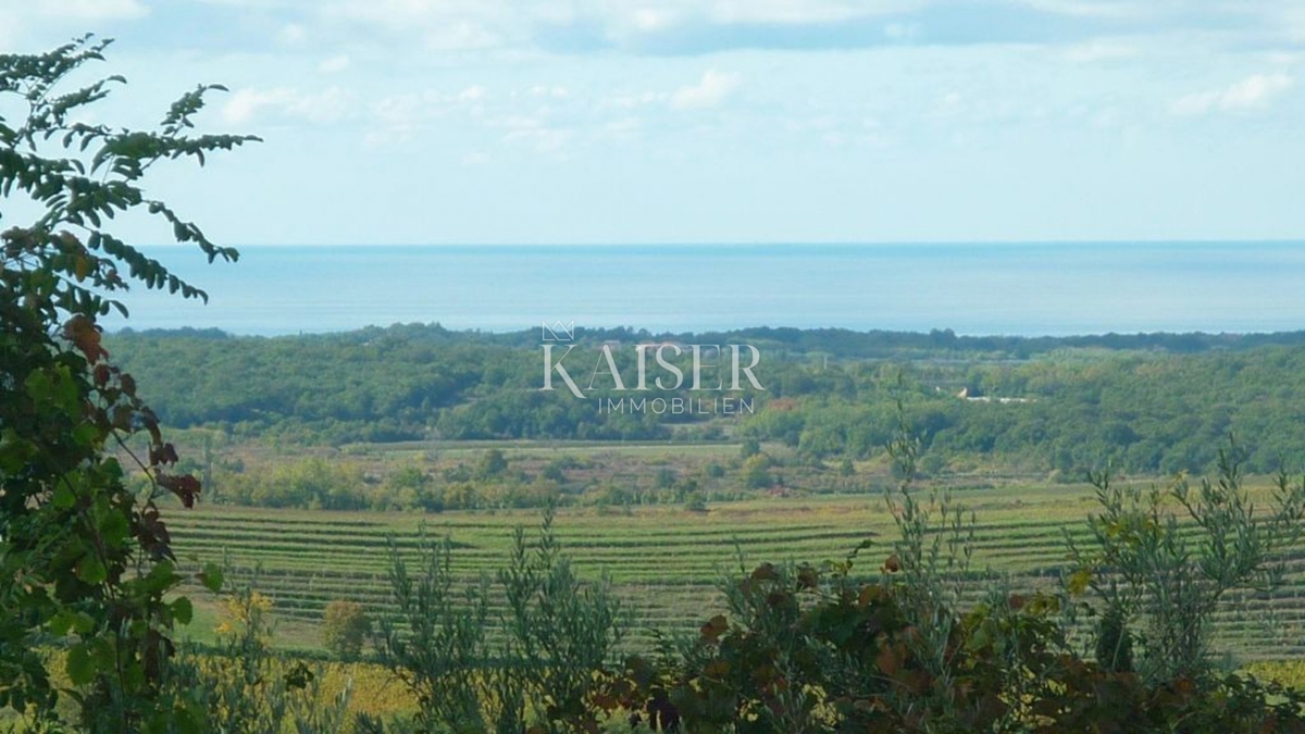Istria, Buie - terreno edificabile con splendida vista, 717m2