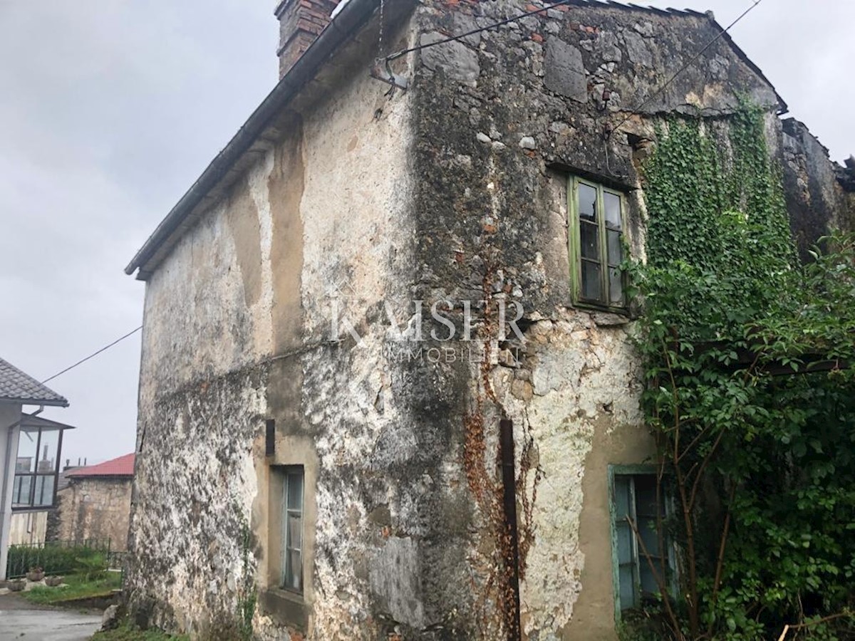 Casa Šapjane, Matulji, 667m2