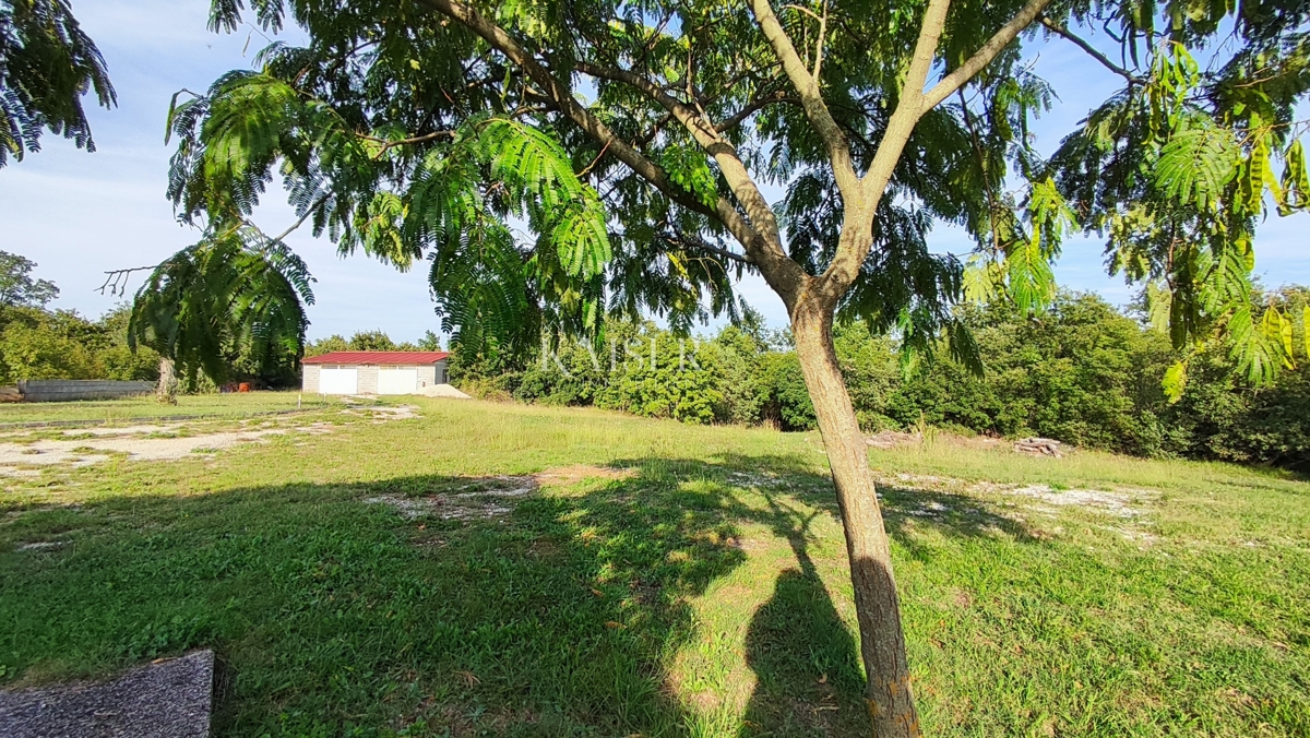 Marčana, dintorni - tenuta con casa e cantiere, 20.000 m2