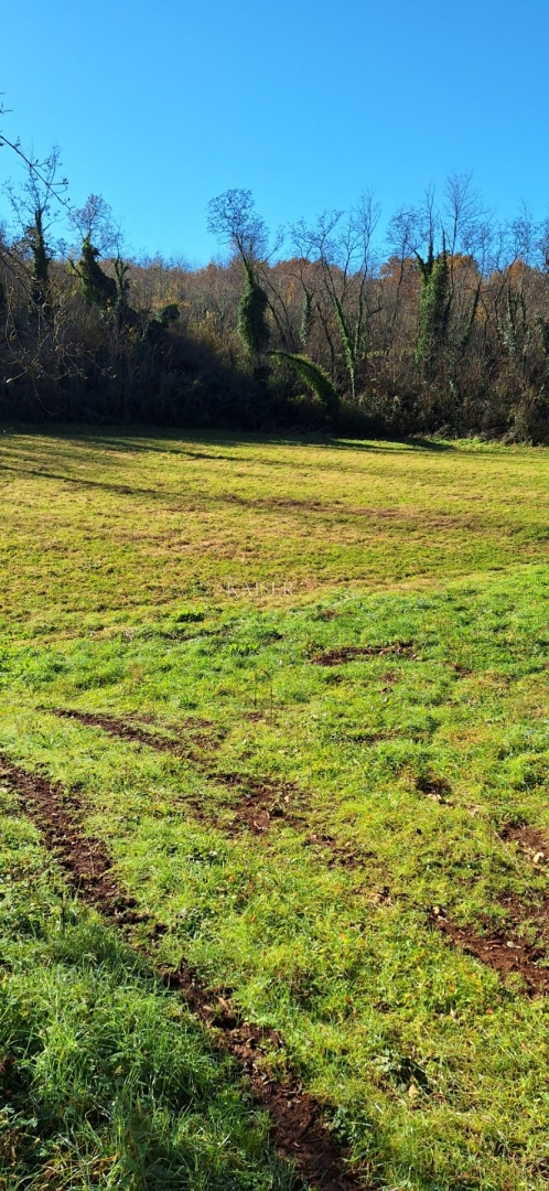 Istra - Višnja, terreno agricolo 4 ettari