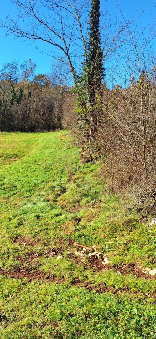 Istra - Višnja, terreno agricolo 4 ettari