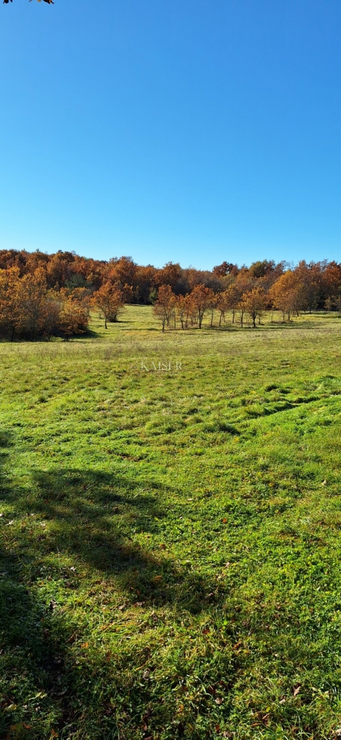 Istra - Višnja, terreno agricolo 4 ettari