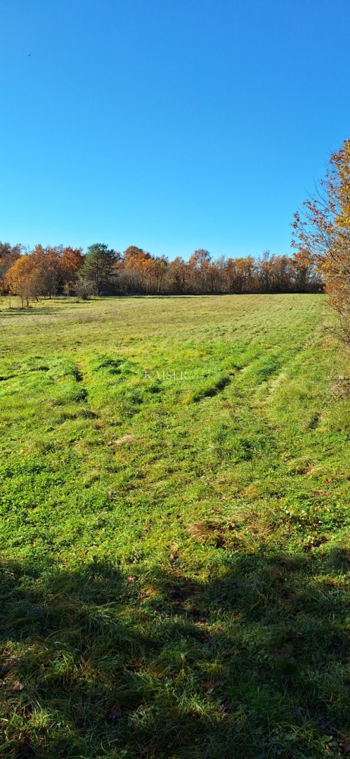 Istra - Višnja, terreno agricolo 4 ettari