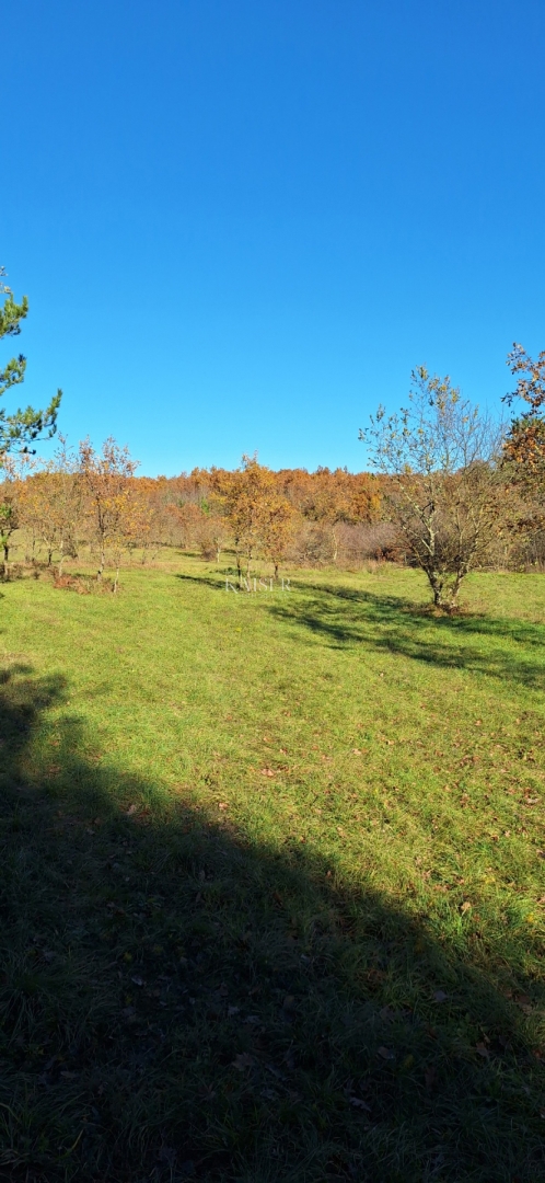 Istra - Višnja, terreno agricolo 4 ettari