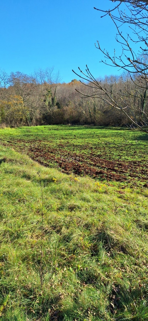 Istra - Višnja, terreno agricolo 4 ettari