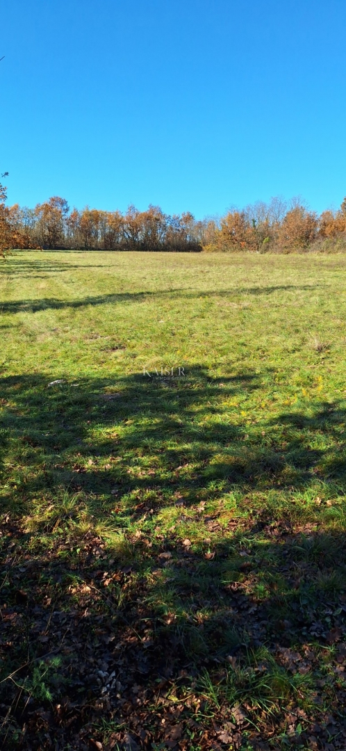 Istra - Višnja, terreno agricolo 4 ettari