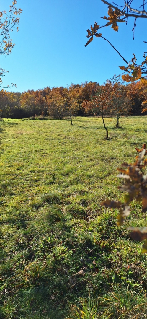 Istra - Višnja, terreno agricolo 4 ettari