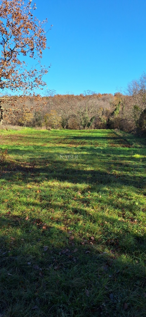 Istra - Višnja, terreno agricolo 4 ettari