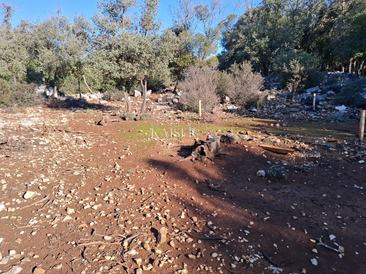 Terreni agricoli Punta Križa, Mali Lošinj, 4.584m2