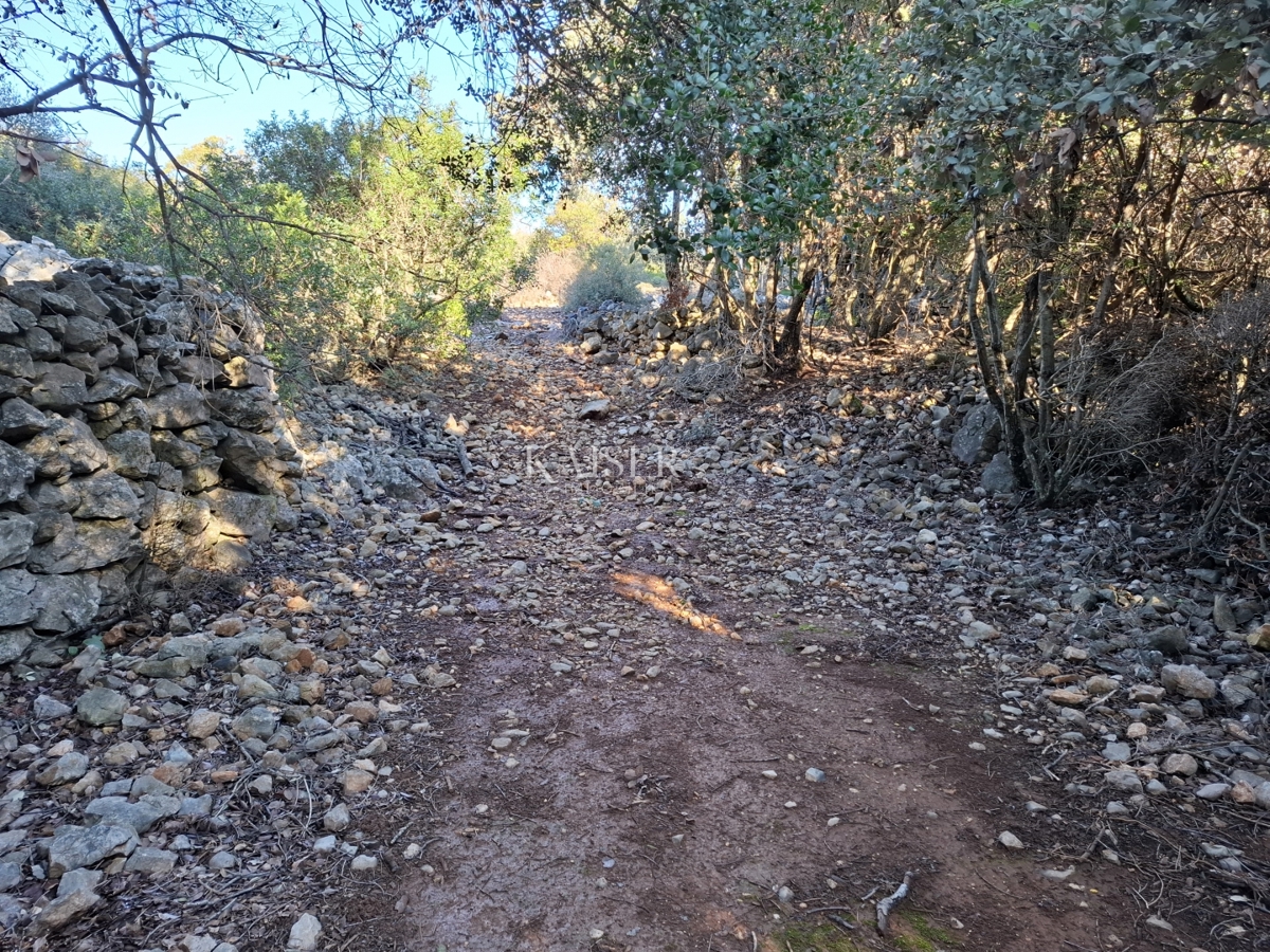 Terreni agricoli Punta Križa, Mali Lošinj, 4.584m2