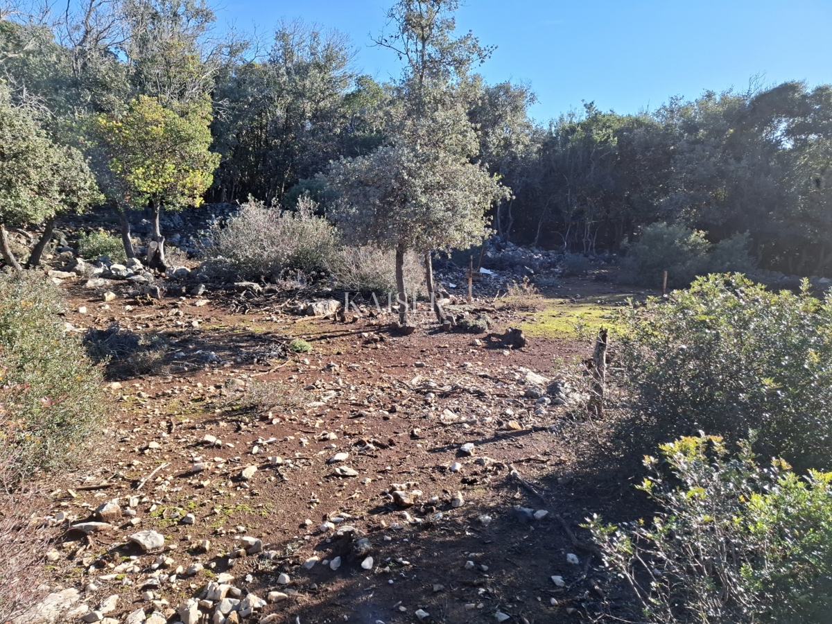 Terreni agricoli Punta Križa, Mali Lošinj, 4.584m2