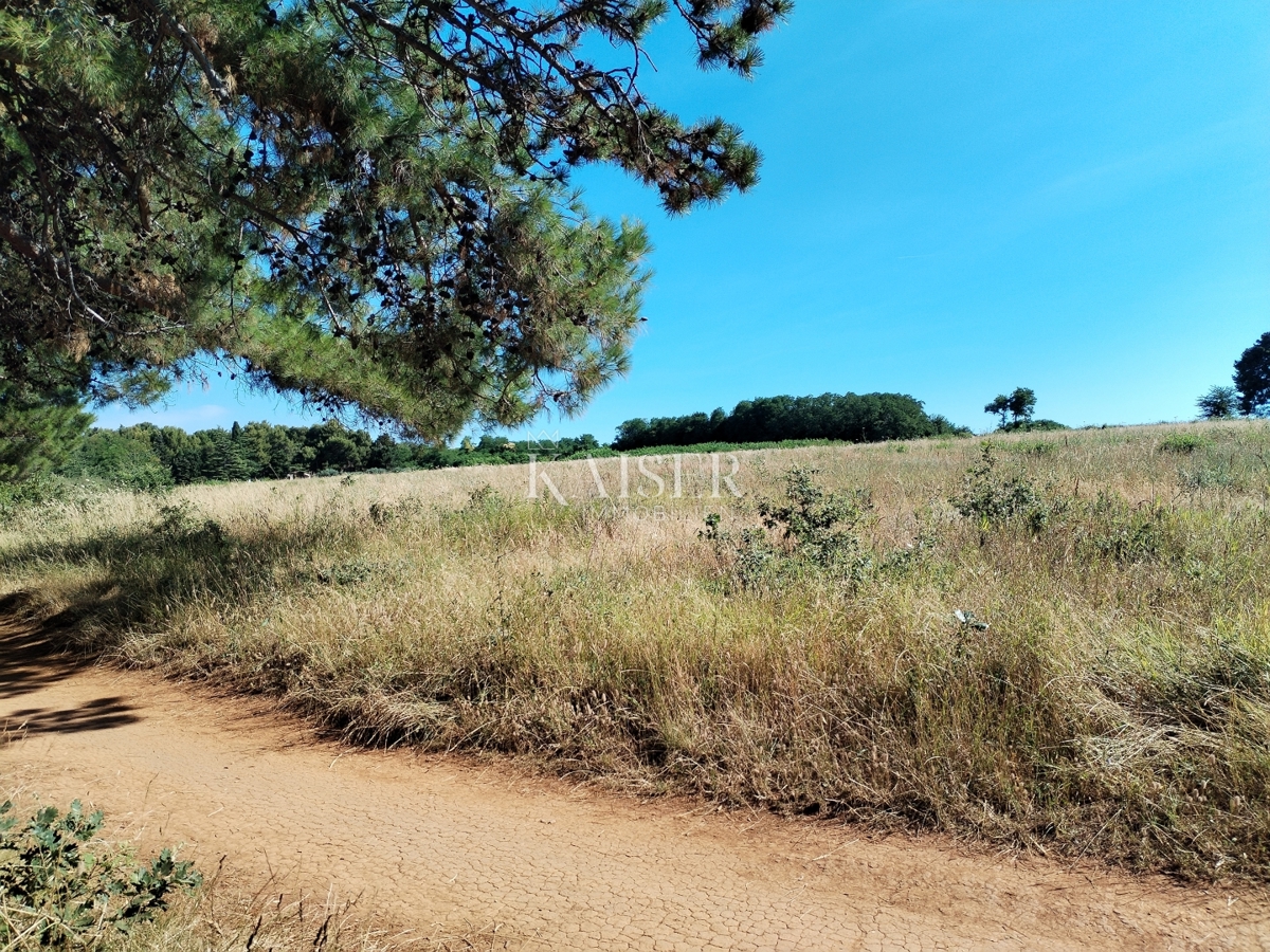 Istria, Umago, posizione esclusiva, seconda fila dal mare, T1