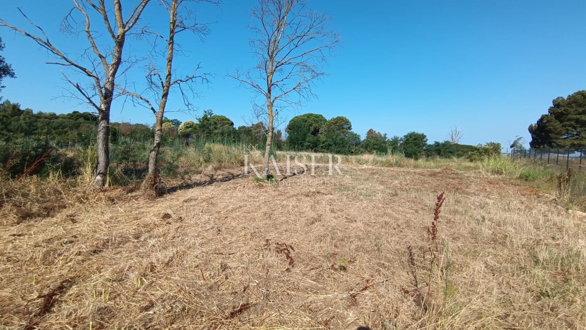 Istria, Fasana - terreno agricolo 660m2 a soli 50m dal mare