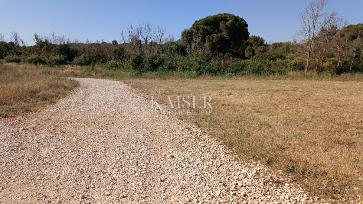 Istria, Fasana - terreno agricolo 660m2 a soli 50m dal mare