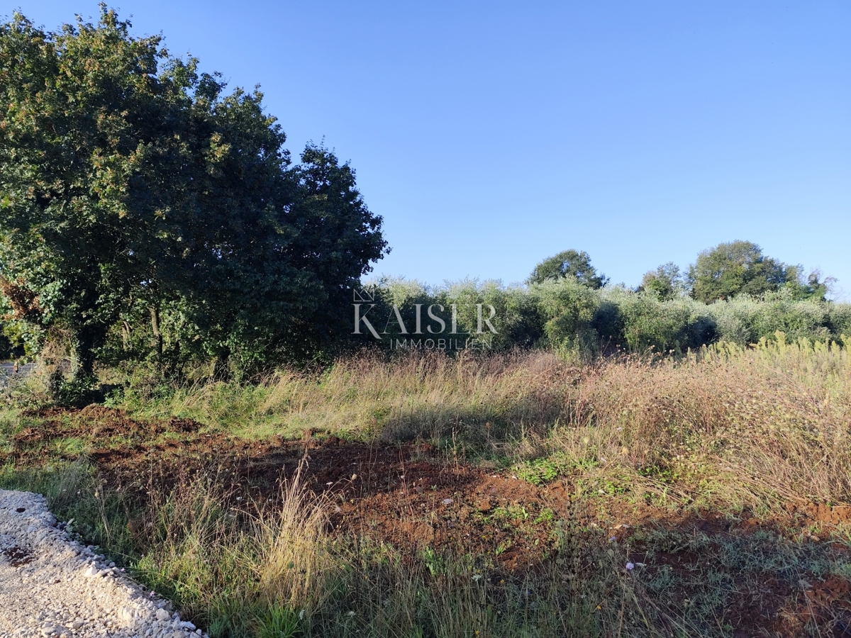 Istria, Vabriga - terreno edificabile