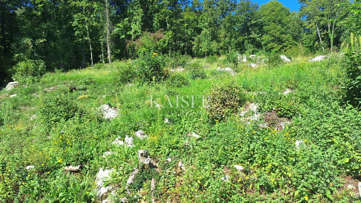 Земля під забудову Rukavac, Matulji, 2.558m2