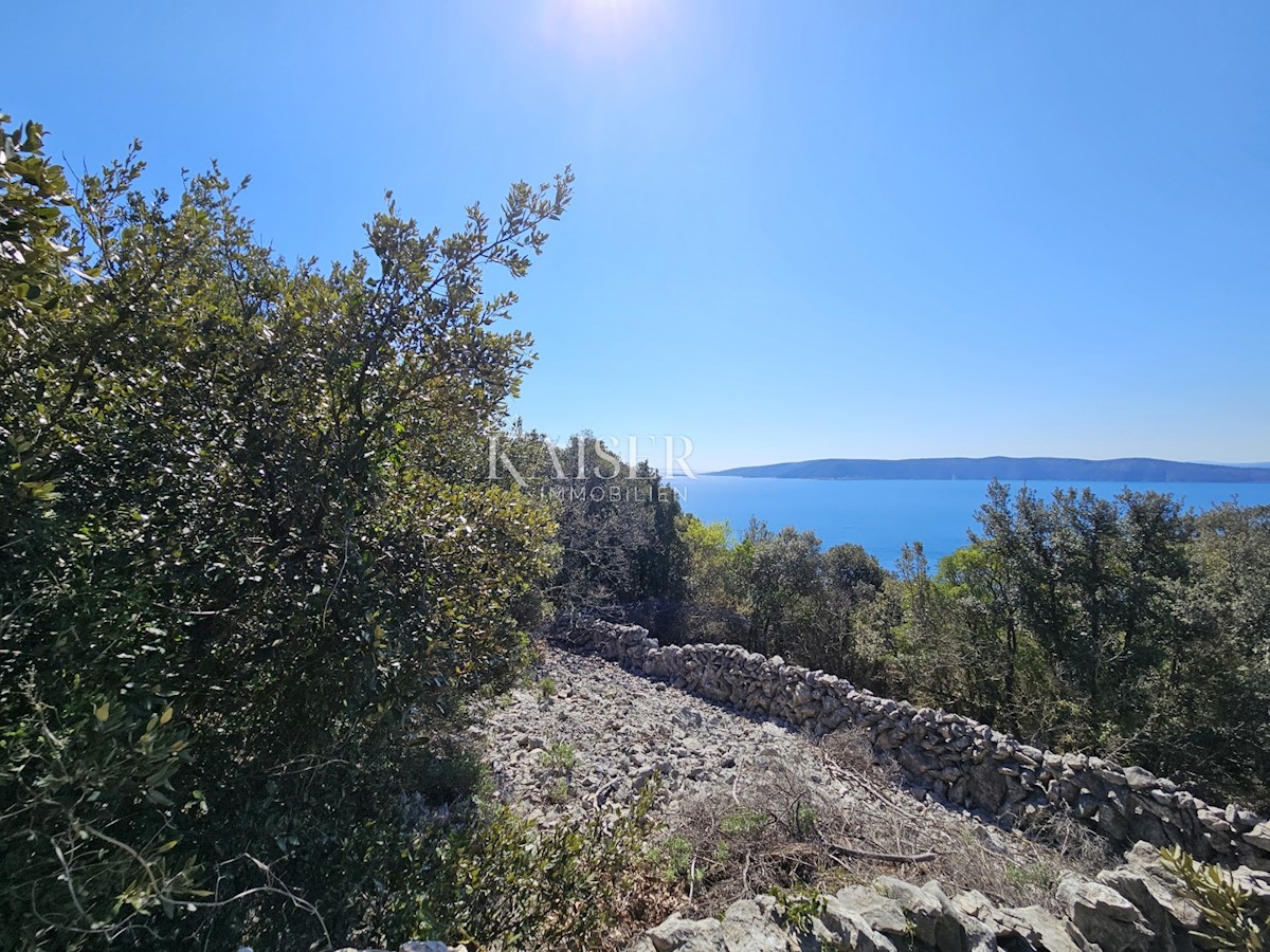 Isola di Krk - terreno agricolo a 150 m dal mare