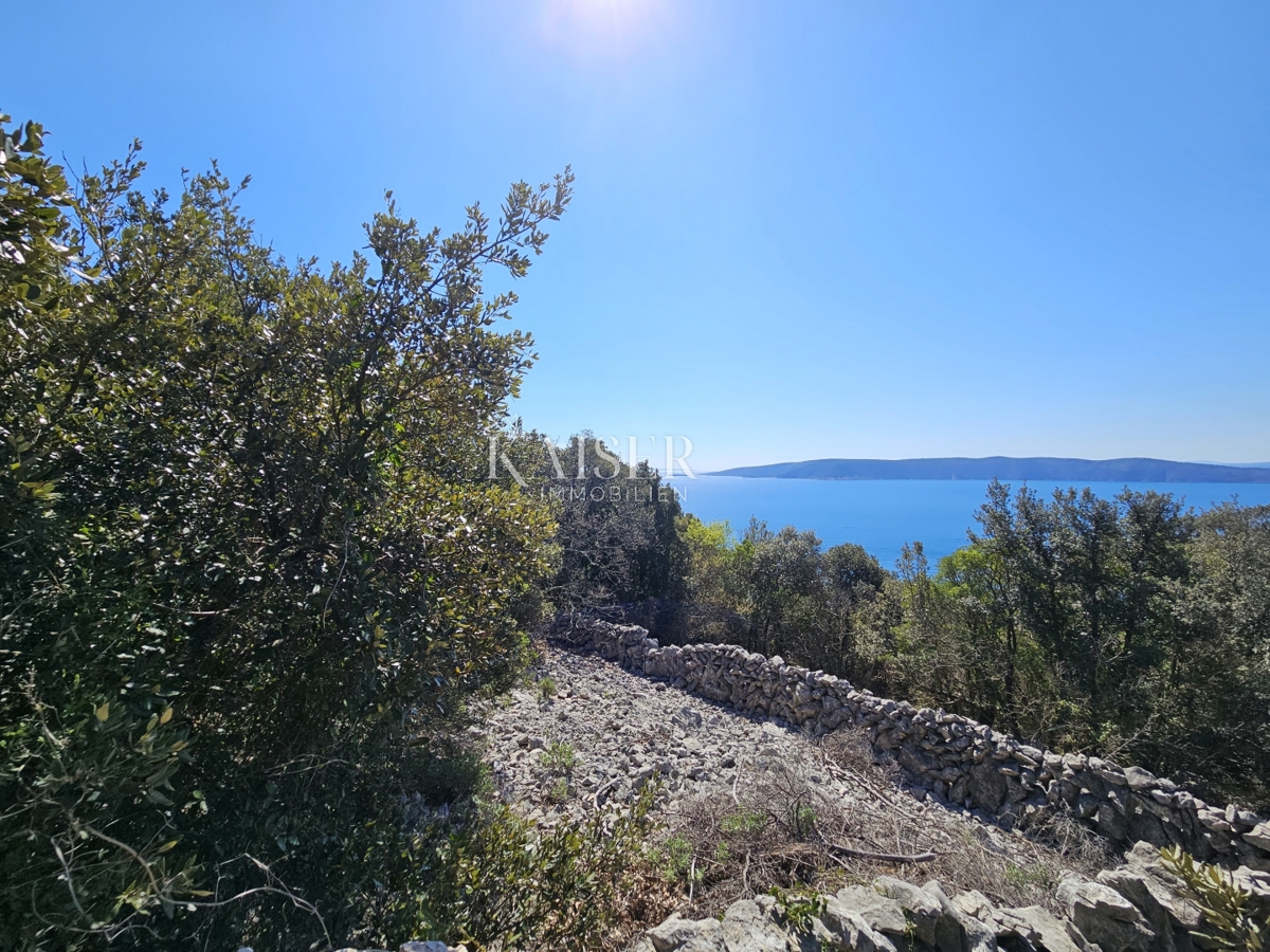 Isola di Krk - terreno agricolo a 150 m dal mare