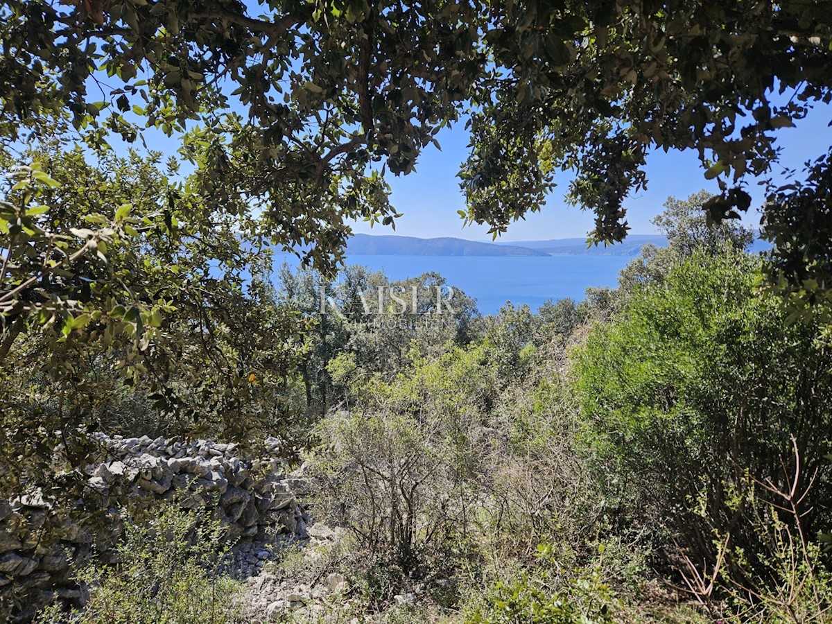 Isola di Krk - terreno agricolo a 150 m dal mare