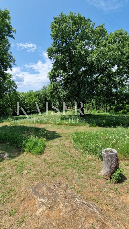 Istria - Lovreč, villa istriana autoctona con tenuta