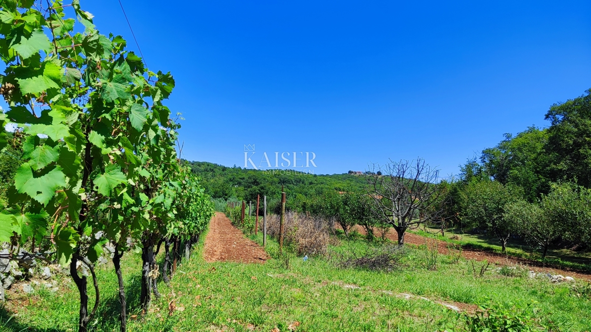 Labin - proprietà con una casa, 28.000