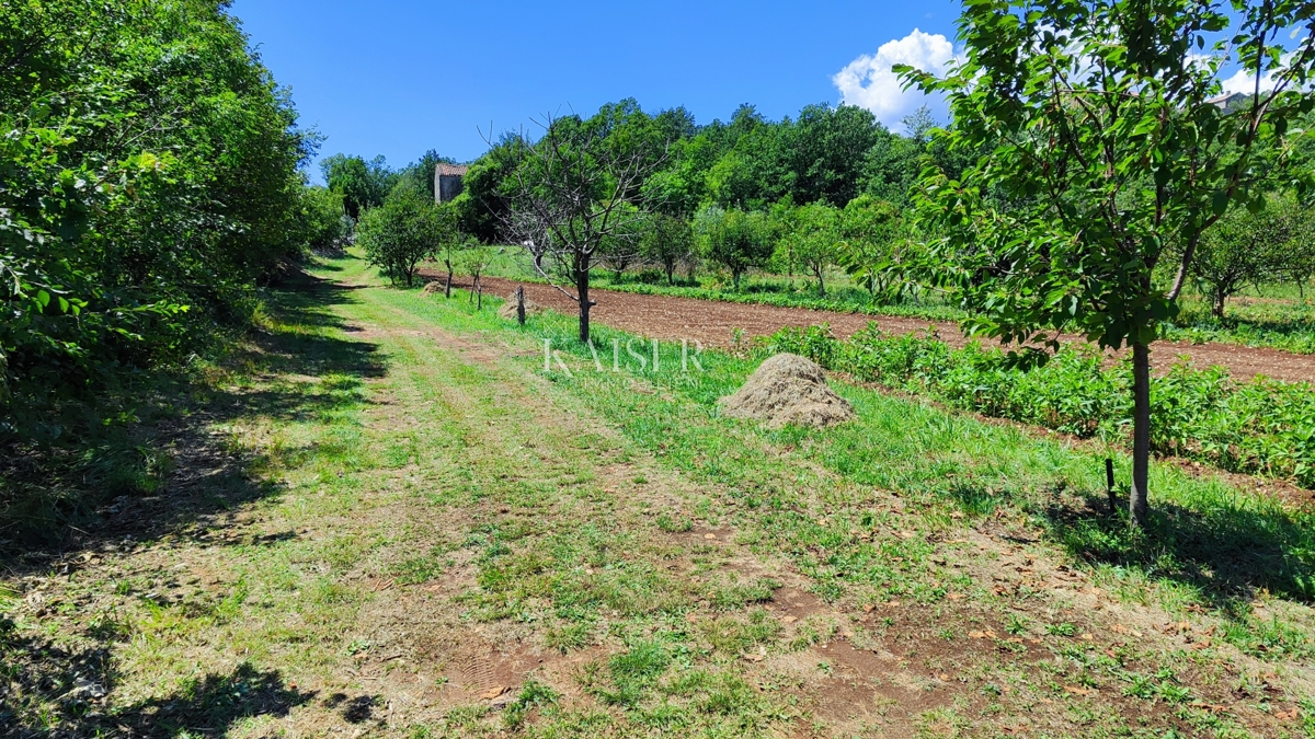 Labin - proprietà con una casa, 28.000