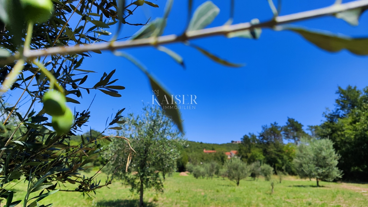Labin - proprietà con una casa, 28.000