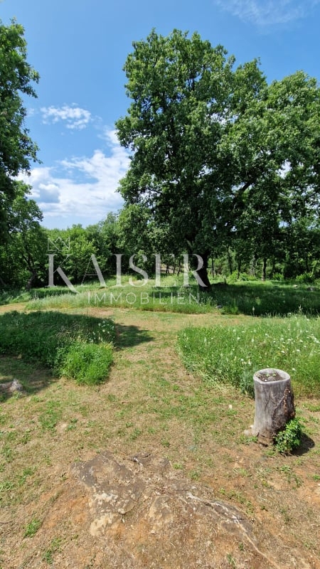 Casa Sveti Lovreč, 142m2