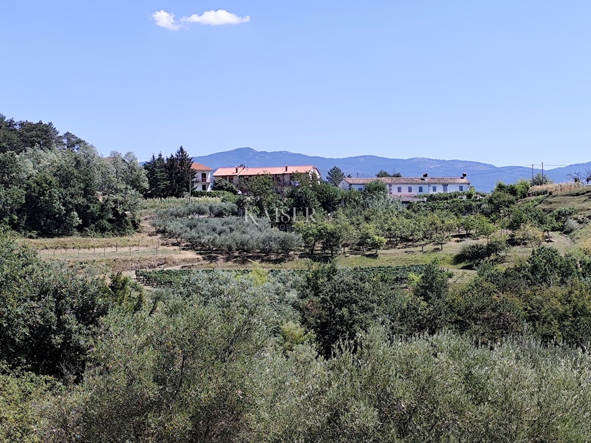 Istria, Buzet - terreno edificabile con vista sulla natura