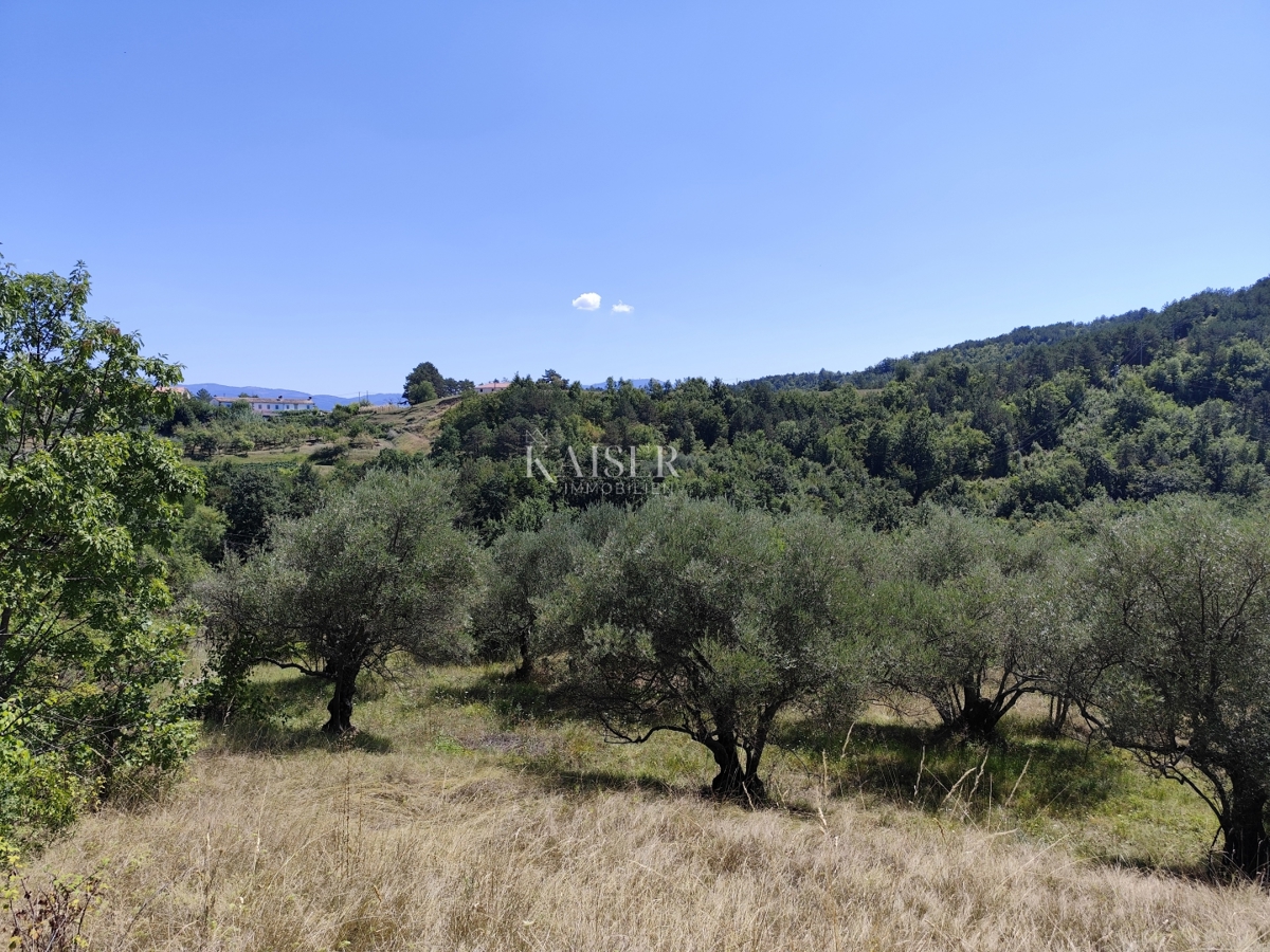 Istria, Buzet - terreno edificabile con vista sulla natura