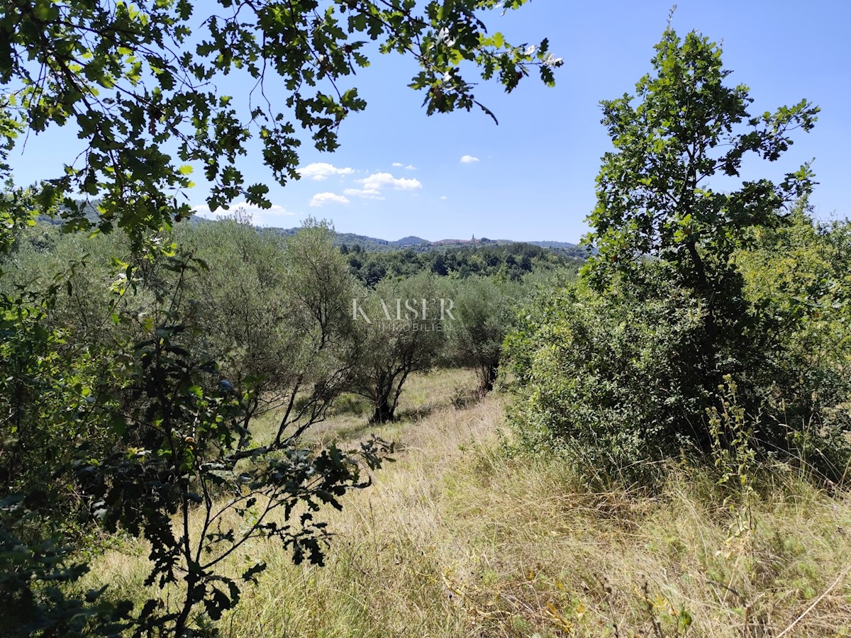 Istria, Buzet - terreno edificabile con vista sulla natura