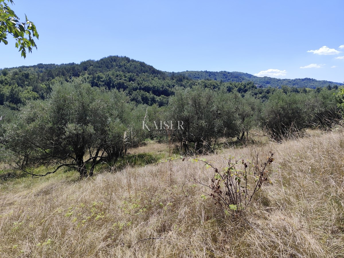 Istria, Buzet - terreno edificabile con vista sulla natura