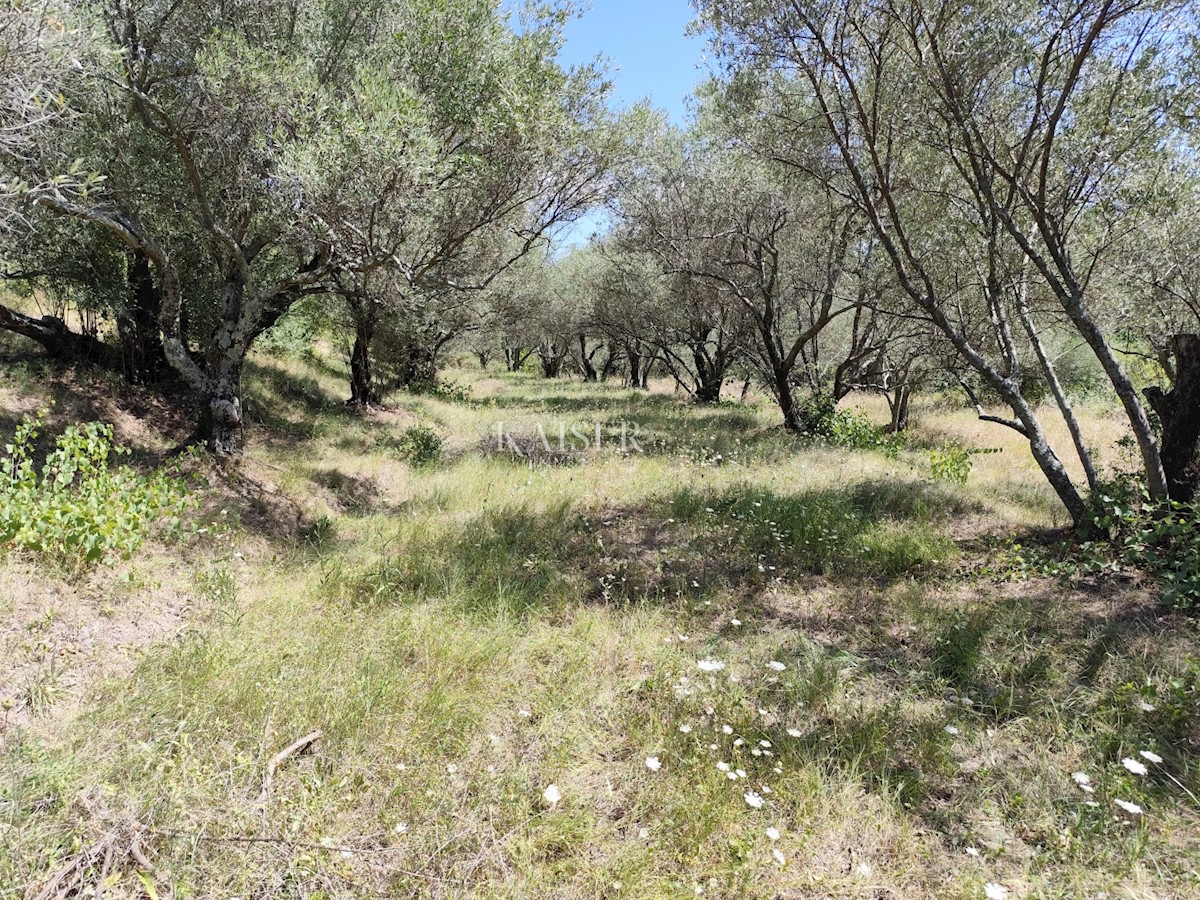 Istria, Buzet - terreno edificabile con vista sulla natura