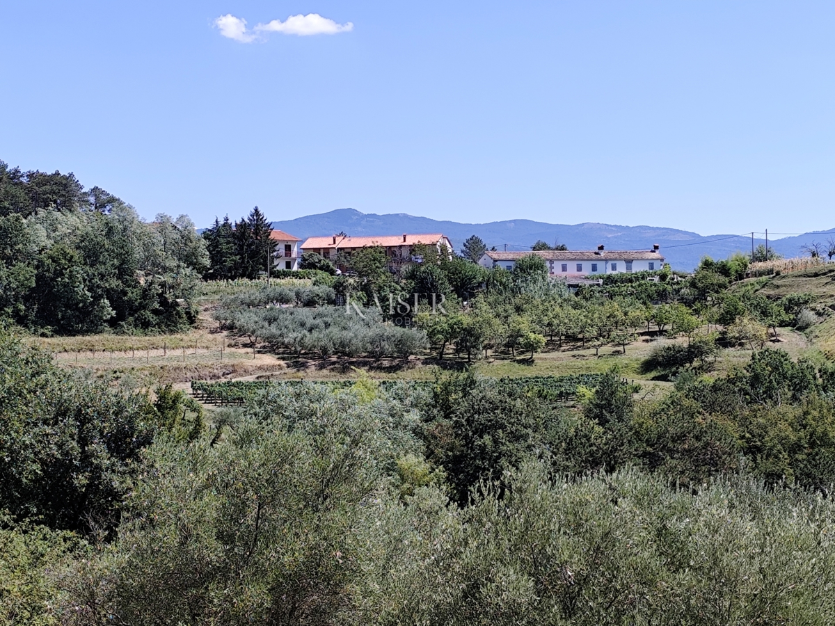 Istria, Buzet - terreno edificabile con vista sulla natura