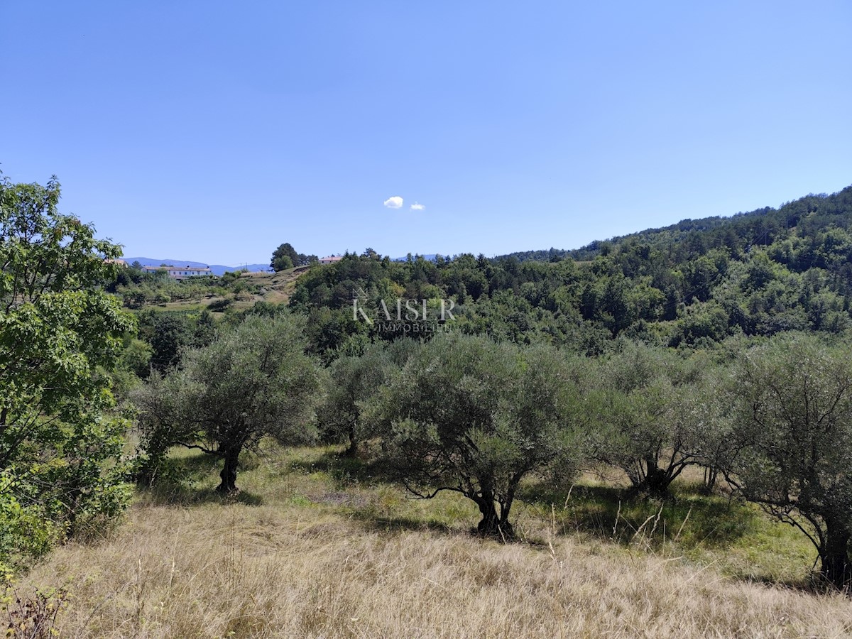 Istria, Buzet - terreno edificabile con vista sulla natura