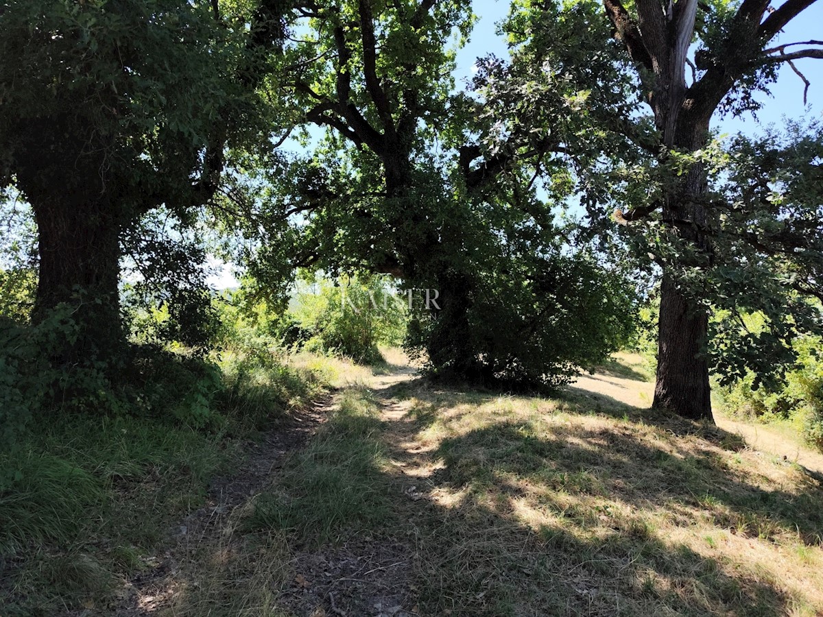 Istria, Buzet - terreno edificabile con vista sulla natura